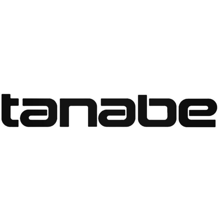 Tanabe Consulting Posts Profit Growth as Revenue Reaches ¥12.36 Billion