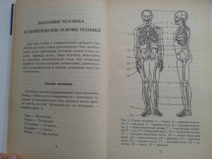 Анатомия книга читать. Учебник анатомии список литературы. Ситуационныеизадачи по анатомии книга.