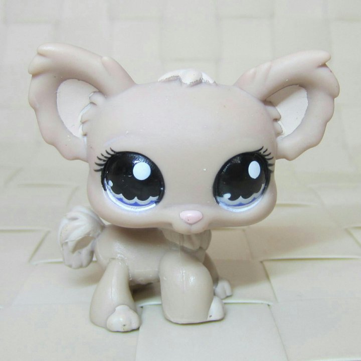 lps chihuahua 1060