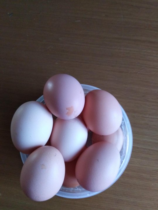 Красивые молодые яйца