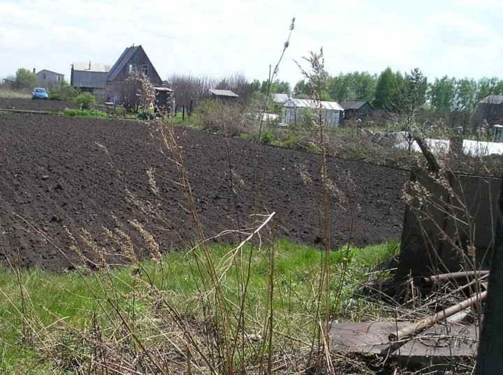 Снт локомотив 2. Самарское СНТ Локомотив. Садоводство Локомотив село Кислуха город Новоалтайск.