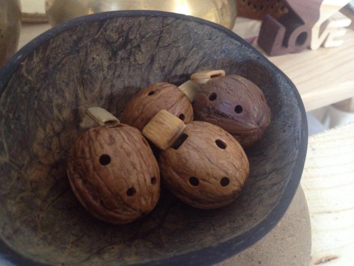 лесной орех лещина. орех петь. поющий орешек. королевский орех макадамия. соцветие грецкого ореха.