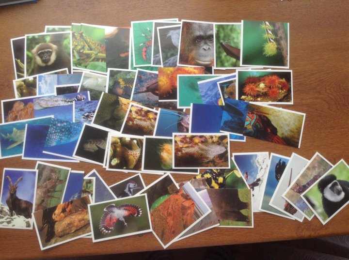 театральный проезд стикермания. стикермания спар наклейки. стикермания наклейки карусель. стикермания спар наклейки. настольная игра стикермания.