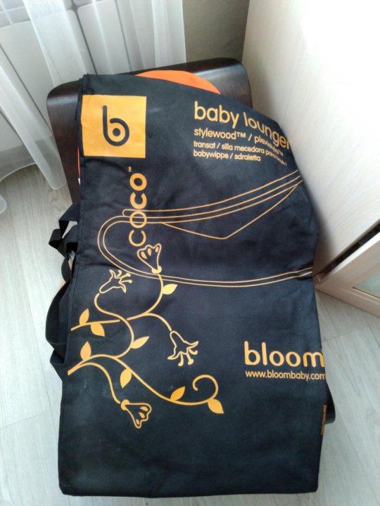 bloom coco lounger vs baby bjorn bouncer