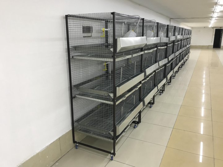 Стандартная клетка. Клетка для средних грызунов r2-2, эмаль (69 * 45 * 61 см). Стандартная клетка. Стандартная клетка. Секции для клеток.