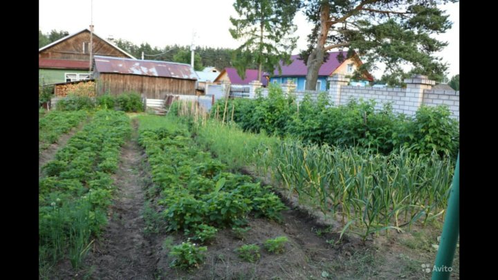 Рп5 кадуй. Кадуйский район, п.Кадуй, ул Весенняя, д.6. Кадуй ул. Молодежная дом 3 все о нем. Вологодская область, Кадуйский район, РП. Кадуй, ул. Октябрьская, д. 23а. Авито Кадуй.