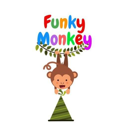 Funky monkey перевод. Фанки манки Астрахань. Funky Monkey. Funky Monkey Астрахань детский клуб. Детский игровой клуб Funky Monkey.