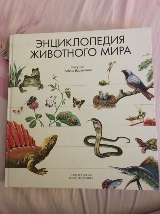 Энциклопедия Животных Фото