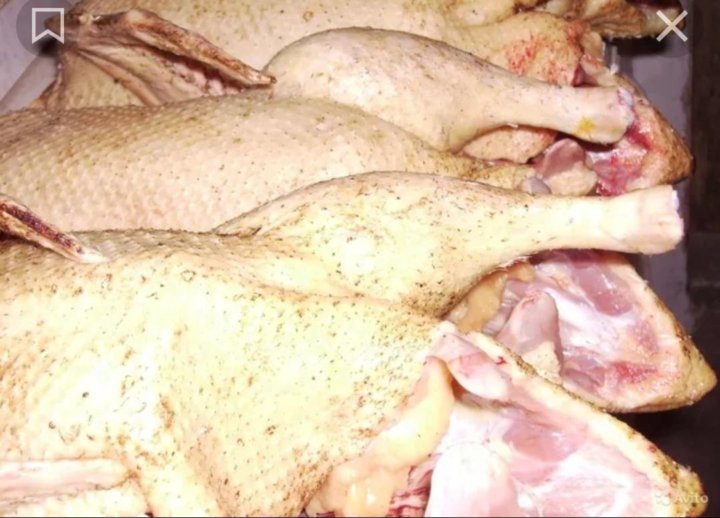 Утка, фаршированная яблоками - пошаговый рецепт с фото, ингредиенты, как пригото