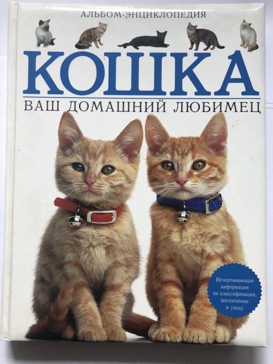 Домашняя кошка книга. Книжка кошка ваш домашний любимец. Книги про кошек. Энциклопедия. Кошки. Энциклопедия ваша кошка.