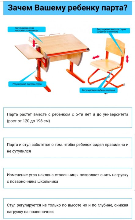 Из чего состоит парта