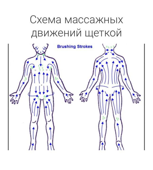 Как делать сухой массаж щеткой антицеллюлитный дома схема