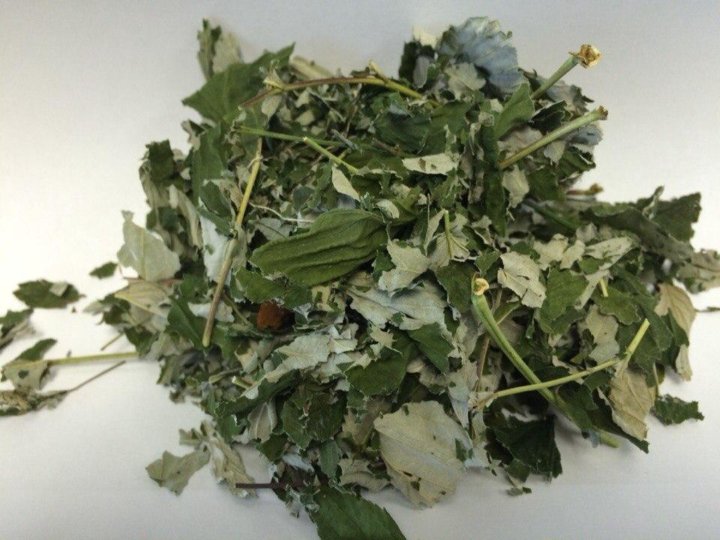 сушеная малина трава. сухие листья малины. листья малины сушеные. сушеные листья малины. лист малины высушенный.