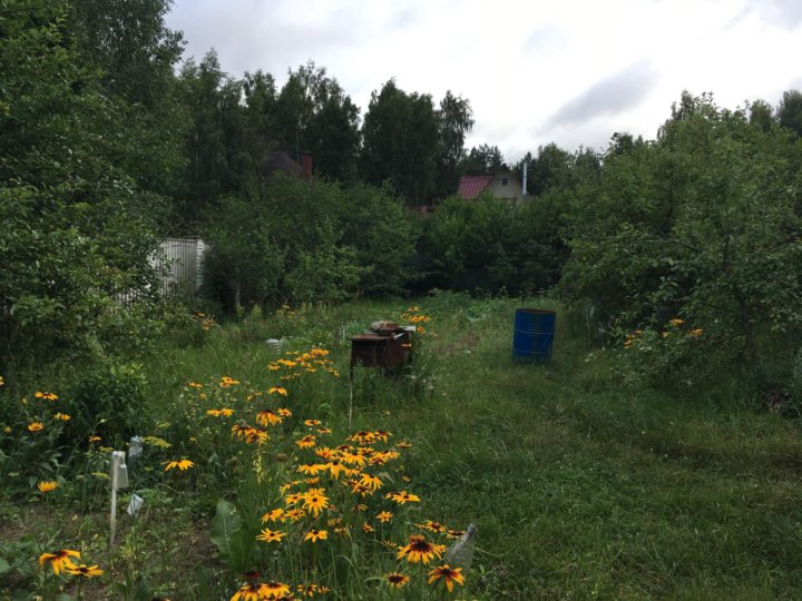 Погода в снт радио балашиха. СНТ радио Балашиха. СНТ радио. Восточное шоссе СНТ радио.