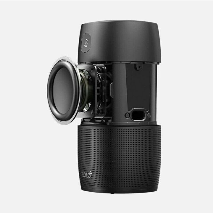 zolo google assistant