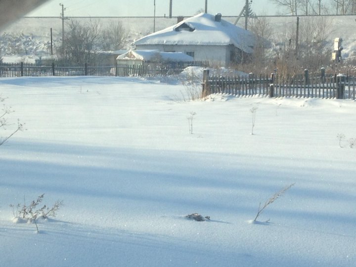 Погода барышево новосибирской. Барышево новосибирская область. Погода барышево новосибирской. Погода барышево новосибирской. Погода барышево новосибирской.