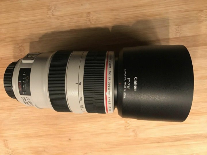 6. Canon 300mm f/4. Полнокадровые объективы 300 мм. 6. 6.