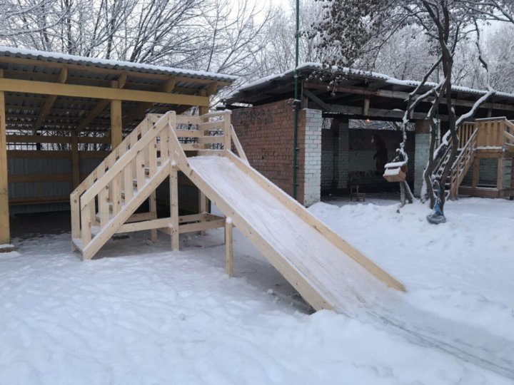 Горка Дерево Фото