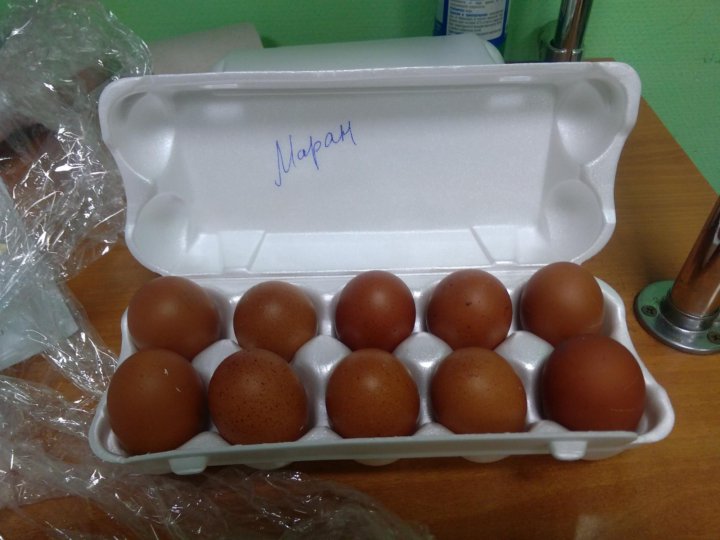 Яйца инкубационные купить сергиев посад. Маран порода кур яйцо. Куры породы Маран яйца. Маран куры цвет яиц. Маран черно медный яйца.