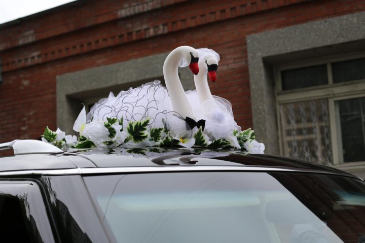 Прокат и аренда лебеди на главную свадебную машину в Владикавказе