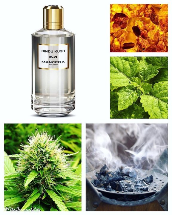 hindu kush mancera
