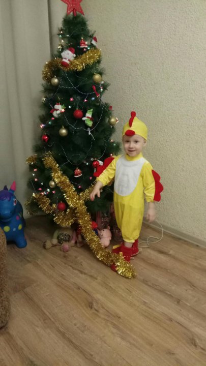 Новогодняя 20 2 Новосибирск Новогодняя 20 2 Новосибирск