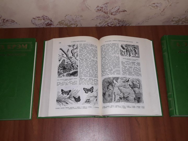 Энциклопедия "Жизнь животных" в трёх томах. А.Брэм – купить в Санкт ...