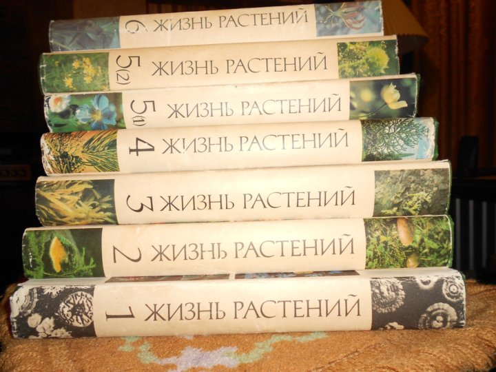 Энциклопедия жизни. Энциклопедия жизнь растений. Жизнь растений в 7 томах сочинений купить.