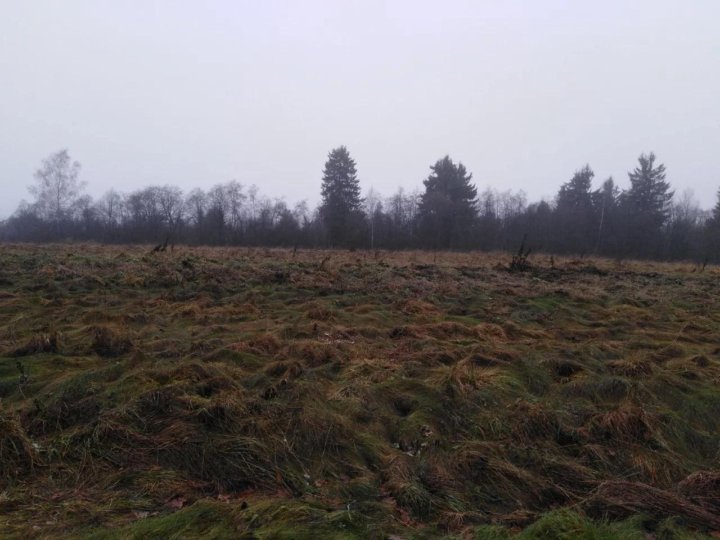 Деревня ключи челябинская область полигон. Деревня ченцы ярославская область. Земля в д нова. Волжская дубрава коттеджный поселок ярославль. Земля в д нова.