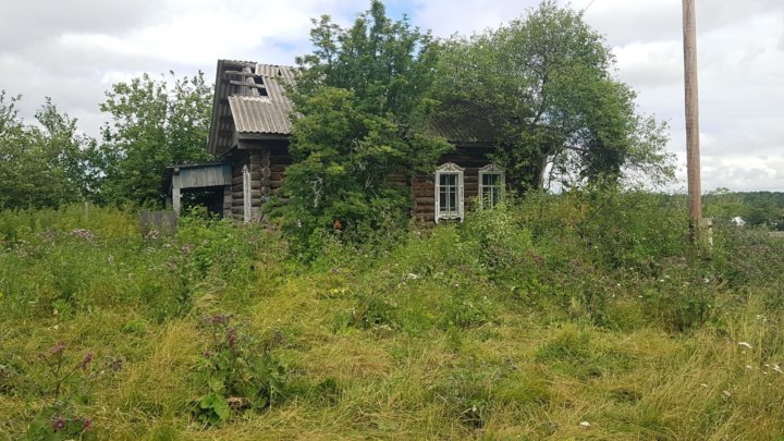 Петровка томской. Село Петровка Томская область. Петровка Томская область. Село Кривошеино.