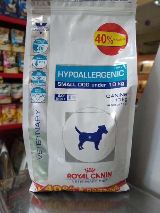 Hypoallergenic small dog. Go гипоаллергенный для собак.