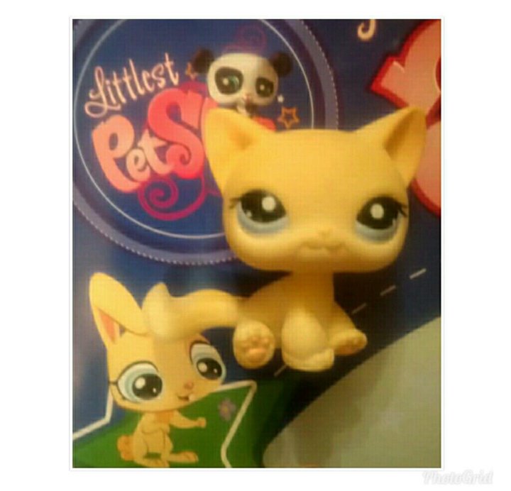 littlest pet shop 1005