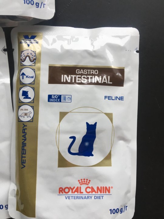 Роял Канин гастро Интестинал паучи. Корм Royal Canin Gastro intestinal для котов. Royal Canin Gastrointestinal для кошек желе. Фармина гастро Интестинал для кошек.