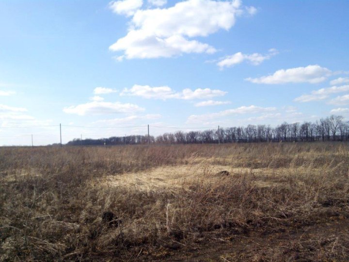 Южная 13. П мичуринский пензенская область. Участки под ижс пенза. Южная. Участки под ижс пенза.