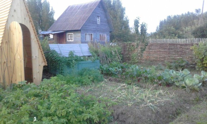 Доронино пруды вологда. Доронино вологда дом 7. Снт. Деревня доронино вологда. Дачи доронино.