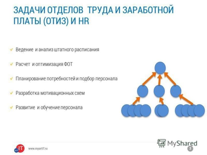 Управление трудом и заработной платой. Отдел труда и заработной платы структура. Отдел организации труда и заработной платы структура. Оптимизация оплаты труда. Задачи отдела труда и заработной платы.
