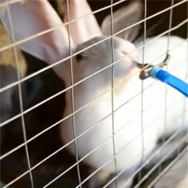 Как сделать поилки для кроликов своими руками: пошаговая инструкция