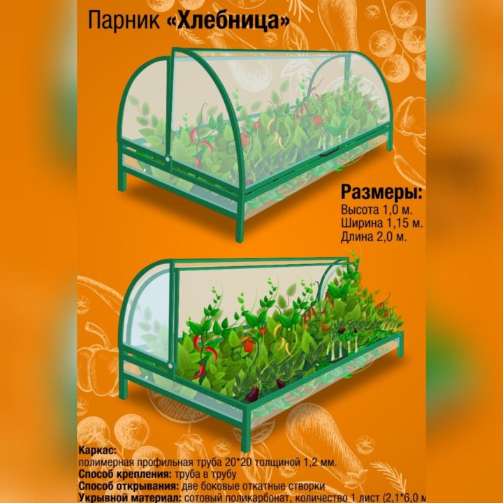 Парник для перцев из поликарбоната своими руками чертежи