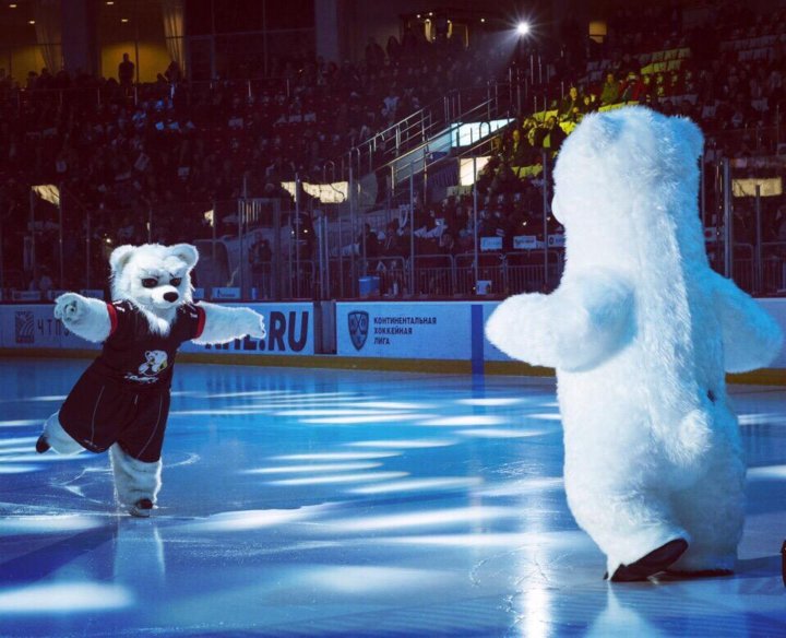 Max bear. Макс медведь. Макса медведя. Белый медведь у макси Петрозаводск. Скин на Макс медведь.