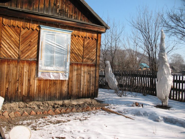 Погода виноградовка анучинский. Село Муравейка Анучинский район. Анучинский район Приморского края Ильмаковка. Деревня Ильмаковка. Муравейка Приморский край.