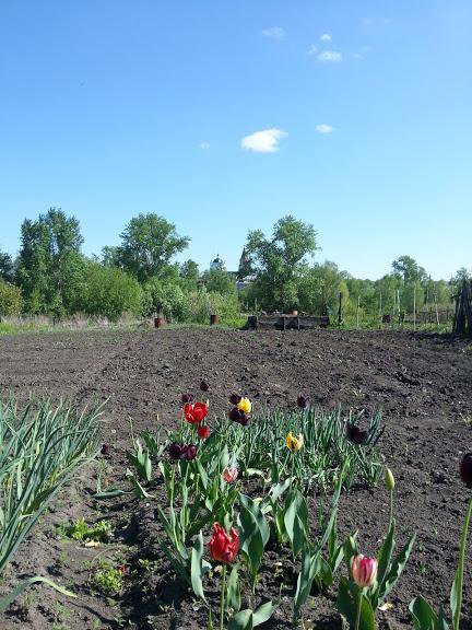 Погода в петровке лысковского. Лысково село Петровка.