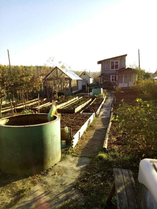 Станция огород. Экологическая тропа в доу. Огород в доу на участке. Станция огород. Детский огород в детском саду.