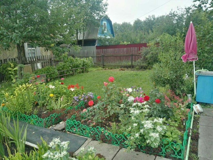 снт механизатор тобольск. недорогая дача. дача садовое общество садовая. снт родничок новокузнецк. дача садовое общество садовая.