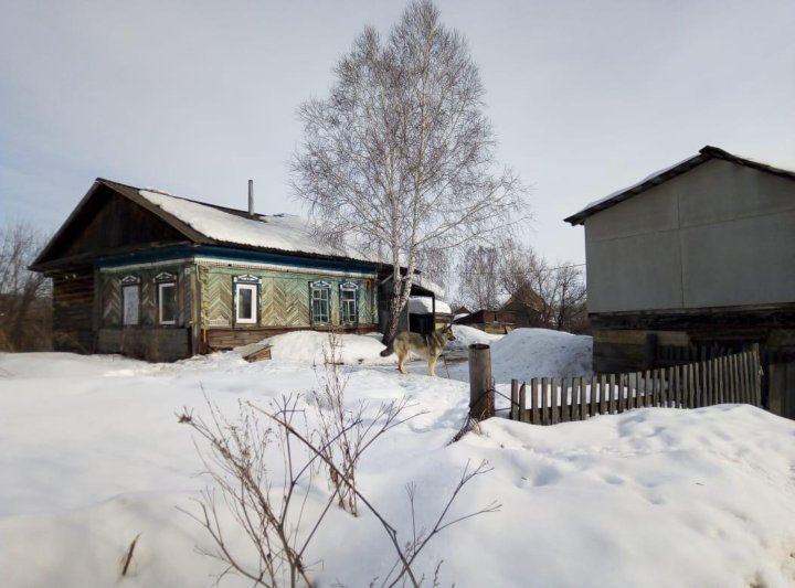 Погода в троицке алтайского края. Троицкое Алтайский край Троицкий район Первомайская улица 100. Алтайский край Троицкий район село Краснояры. Дома в Троицке Алтайский край. Жилье в Троицком Алтайского края.