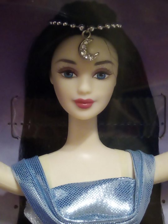 midnight moon princess barbie