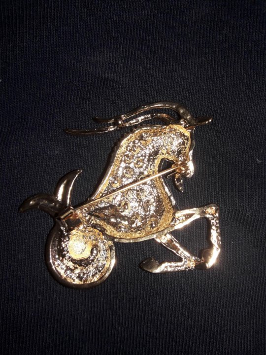 украшение козерог ювелирное. брошь козерог. брошь козерог инстаграм. брошь козерог. броши знаки зодиака.