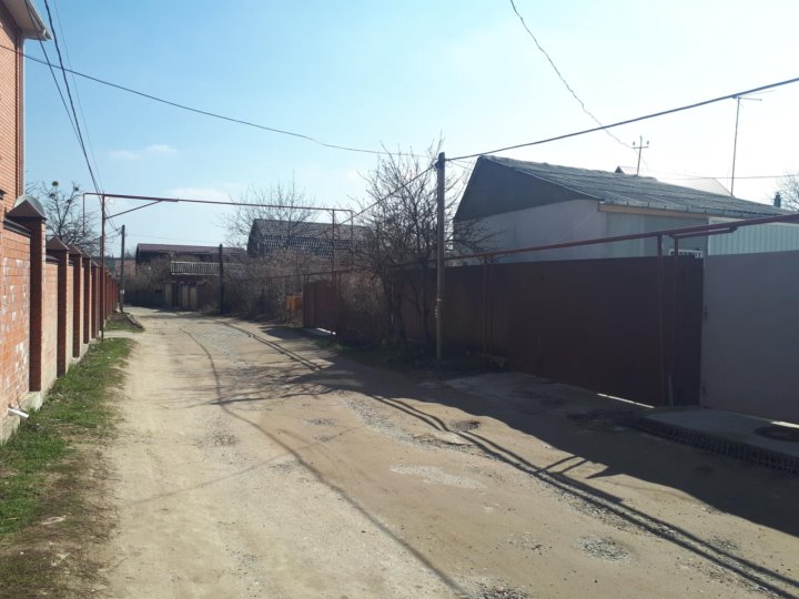 Арония посадка на участке. Снт арония. Черноплодная рябина в ландшафтном дизайне. Снт арония. Семена черноплодной рябины.