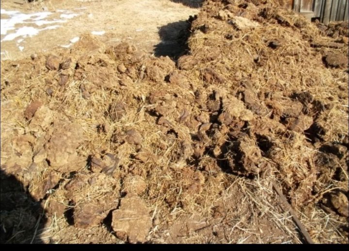 Навоз конский гранулированный 2л. Коровий навоз добрая сила гранулированный. Удобрения коровий навоз. Навоз перепревший коровий. Навоз для огорода.