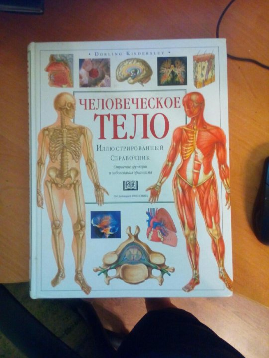 Человеческое книга. Человеческое тело иллюстрированный справочник. Книга человеческое тело. Книги о человеческом теле. Смит т. «человеческое тело».
