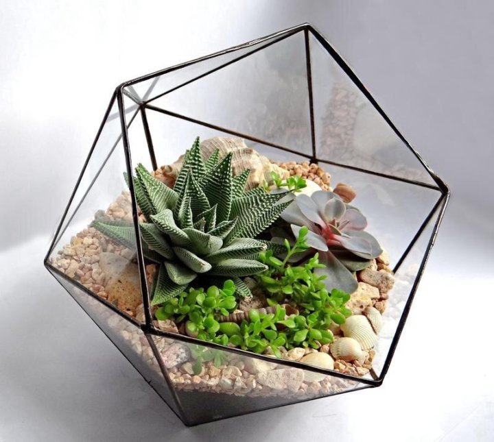 Цветы в аквариуме